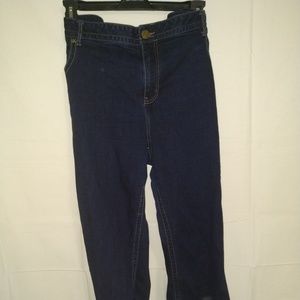Lane Bryant Jeans